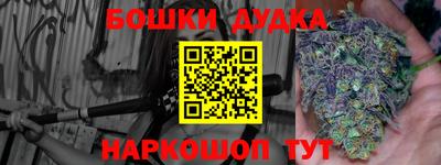 шишки Донской
