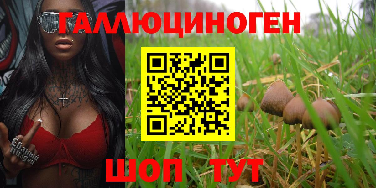 Галлюциногенные грибы Cubensis Нововоронеж
