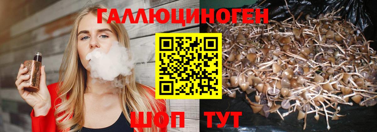 Галлюциногенные грибы MAGIC MUSHROOMS  Псилоцибиновые грибы MAGIC MUSHROOMS  Нововоронеж  Вход с VPN 